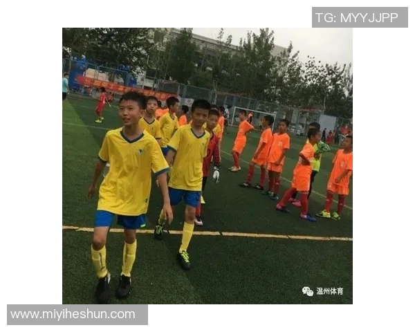 广州足球队荣登足球比赛经验排行榜第二名引发热议