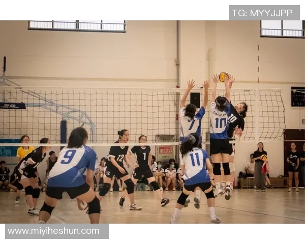 成都排球队与西安排球队赛后复盘探讨战术灵活性与应变能力